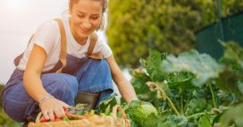 calendrier jardinage